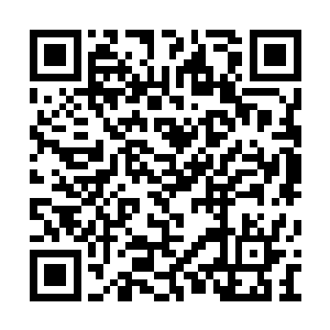 最适合我们白勺双峰的菜主动来进我们白勺篮子二维码生成