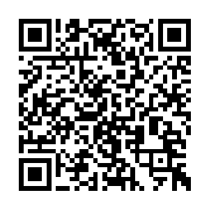 最里面的靠近大宋的地方全部被划分成了农业区二维码生成