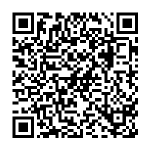 最重要是两个人之间每次迸发出来的火花总是能够赢得观众们的喜爱二维码生成