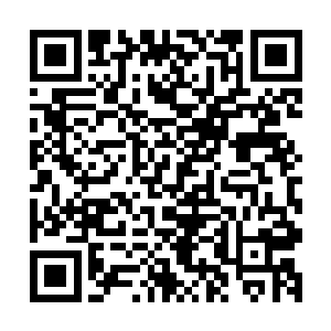 最重要的应该是讨好自己这个可以帮助她进入上层社会的姨妈二维码生成