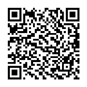 最重要的是他们到时候顺到手的宝贝都属于自己了二维码生成