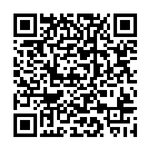 最重要的是她身上的那股子气质实在是让男人心动二维码生成