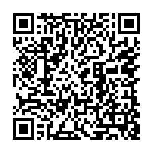最重要的是这一枚天地圣果本來就是翔天在三位实力强大的朋友帮助下才获得的二维码生成