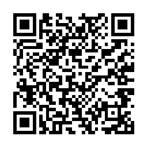 最重要的还有一整副配套用来修复身体暗伤的药剂二维码生成