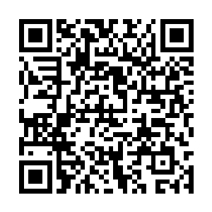最难处理的是武真道场表演团的弟子全部死于非命二维码生成