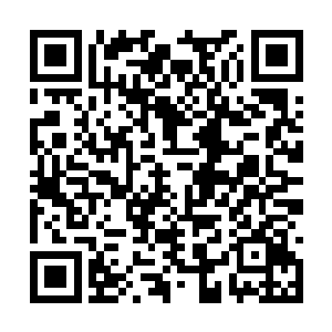 最难的地方早被梦婉约花了二十多年的时间攻克了二维码生成