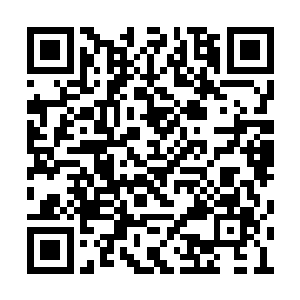 最靠近雕像处的三头巨型千足虫身体颤抖了几下二维码生成