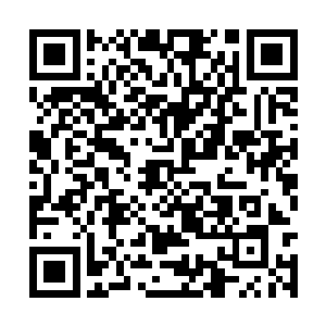 最高修为气息竟也不过只有元婴后期大圆满的境界二维码生成