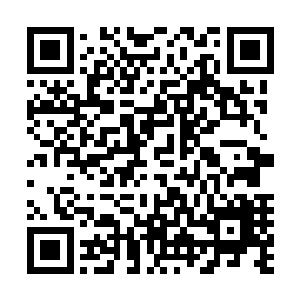 最高处那根树枝最细的梢头有片青叶被风卷起然后带走落下二维码生成