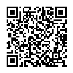 最高等级的神侍也不明白族长为什么要发出禁令二维码生成