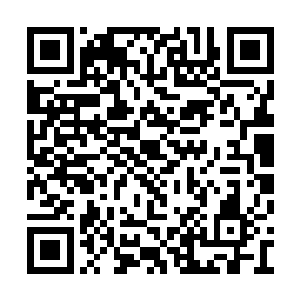 月光亮的几乎不用火把也能看清楚院子里的东西二维码生成