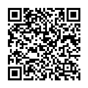 月华冰凉 照耀着天穹的风清扬 以及巨兽背上的大巫圣子二维码生成