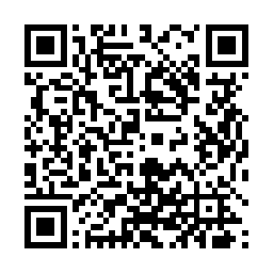 月璃和紫千幻以及见得月鼎天终于抢得了一个孩子之后二维码生成