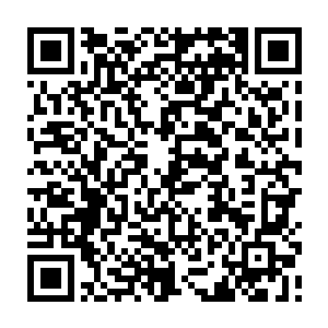 有……但已经不是你现在能够理解的了……之所以告诉你造化之上的境界二维码生成