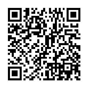 有一个先决条件是这个区域内的人修为都没我高二维码生成