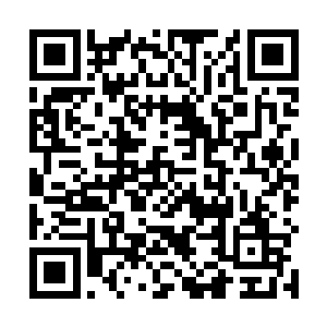 有一个如果无法到期收债就会翻脸无情的黑帮老大债主二维码生成