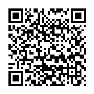 有一个实力强悍拥有私人领地的大地骑士作为靠山的师傅不说二维码生成