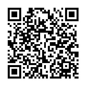 有一个小家伙正坐在娃娃车里瞪着圆溜溜的眼睛看着我们二维码生成