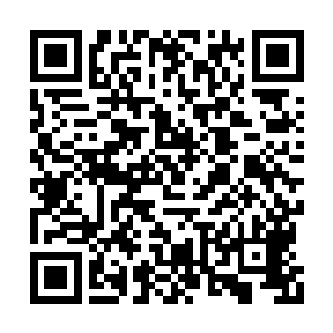 有一个尸阴宗弟子无意间斩杀了一个魔族的弟子二维码生成