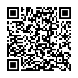 有一个恨不得把自己当太上皇后一样供起来的董事长二维码生成