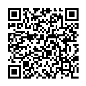 有一个看的比较仔细的洞玄境四重天真人不可思议道二维码生成