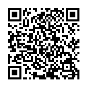 有一个衣着普通的年轻人从后偷袭了王书泽一拳的事情二维码生成