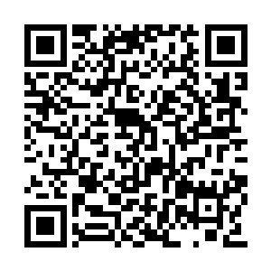 有一件关系钦天界存亡的大事需要他们做出决定二维码生成