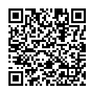 有一位自己心理都不健康的心理学家曾经说过这样一个理论二维码生成