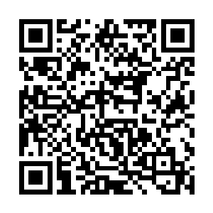 有一分能保住眼下风光富贵的盼头他就要使十分气力二维码生成