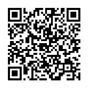 有一只浑身浴血的九头蛇在血肉精华之中咆哮挣扎二维码生成