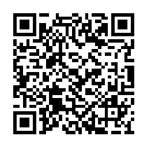 有一天他竟然也能参与到炼制十全灵器的过程中二维码生成