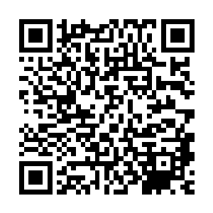 有一天他还和衙内的几个孩子跑去樊楼去让宋嫂做好吃的给他们二维码生成