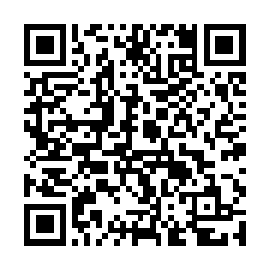 有一批不差钱的运动爱好者就等着这么一个馆出现呢二维码生成