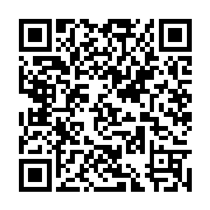 有一根不过手指粗细的藤蔓从青铜大门上蔓延出来二维码生成