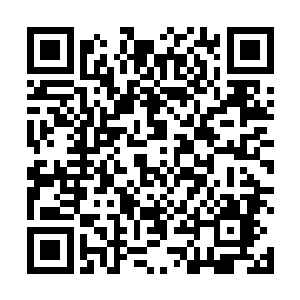 有一股恐怖到令众生都忍不住跪拜的可怕道念突然出现二维码生成