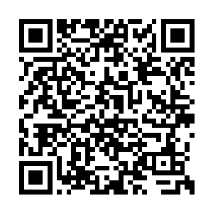 有一部分已经在混沌之体那超强的自愈能力之下二维码生成