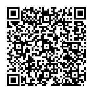 有三分之一不愿意成为职业军人……他们对于成为诺曼军团的士兵这种事情并不稀罕二维码生成