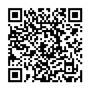 有三分之一都被倪道溪收在了一个特殊的魂道法器之内二维码生成