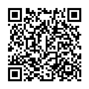 有不同的秘书员与外来者交接或是伏案整理文档二维码生成