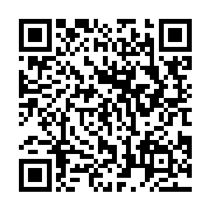 有不少其他世界的强者都想抓住这一瞬间进入传承之墙二维码生成