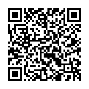 有不少原本和仇家交好的家族都是派一两个小辈过来敷衍一下二维码生成