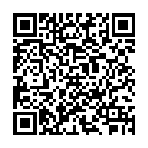 有不少居然是由阿迪丽娜带领的披着轻甲的女战士二维码生成