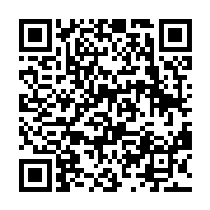 有不少确实趁着这次鉴宝行的鉴宝比试大赛名声大震二维码生成