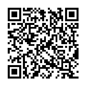 有个与天子岁数差不多的小内监熟练的摇晃着骰盅二维码生成