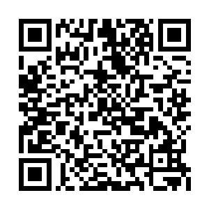 有个从中元星系过来的前辈看过这个狂啸诀说道二维码生成