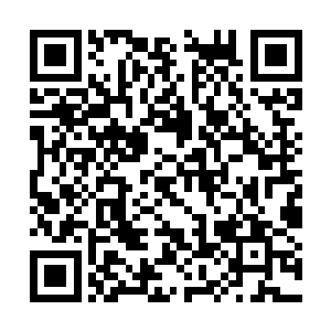 有了一队被out出局之后其他人也变的更加谨慎起来二维码生成