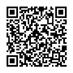 有了他们的加入盖房子的进度快了不止一点半点二维码生成