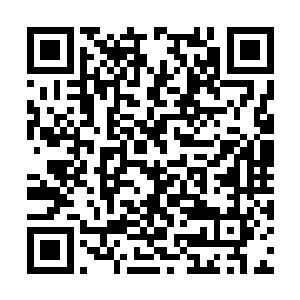 有了大致方向的雷林顿时消失在了浓厚的雾气当中二维码生成