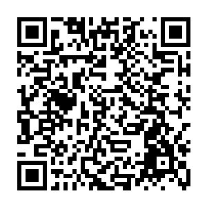 有了第一个吃螃蟹的人后面那些依然对紫红水晶感兴趣的人都纷纷开始竞价二维码生成