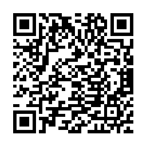 有了这个东西的帮助之后我以后的修炼速度肯定会大幅度的提升二维码生成